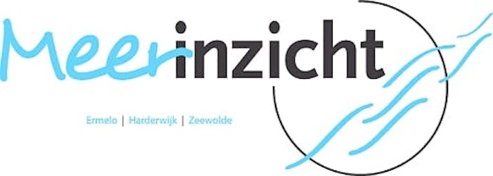 Meerinzicht logo